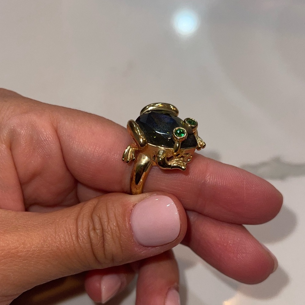 ring jewelry frog